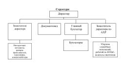 Организационная структура спортивной школы